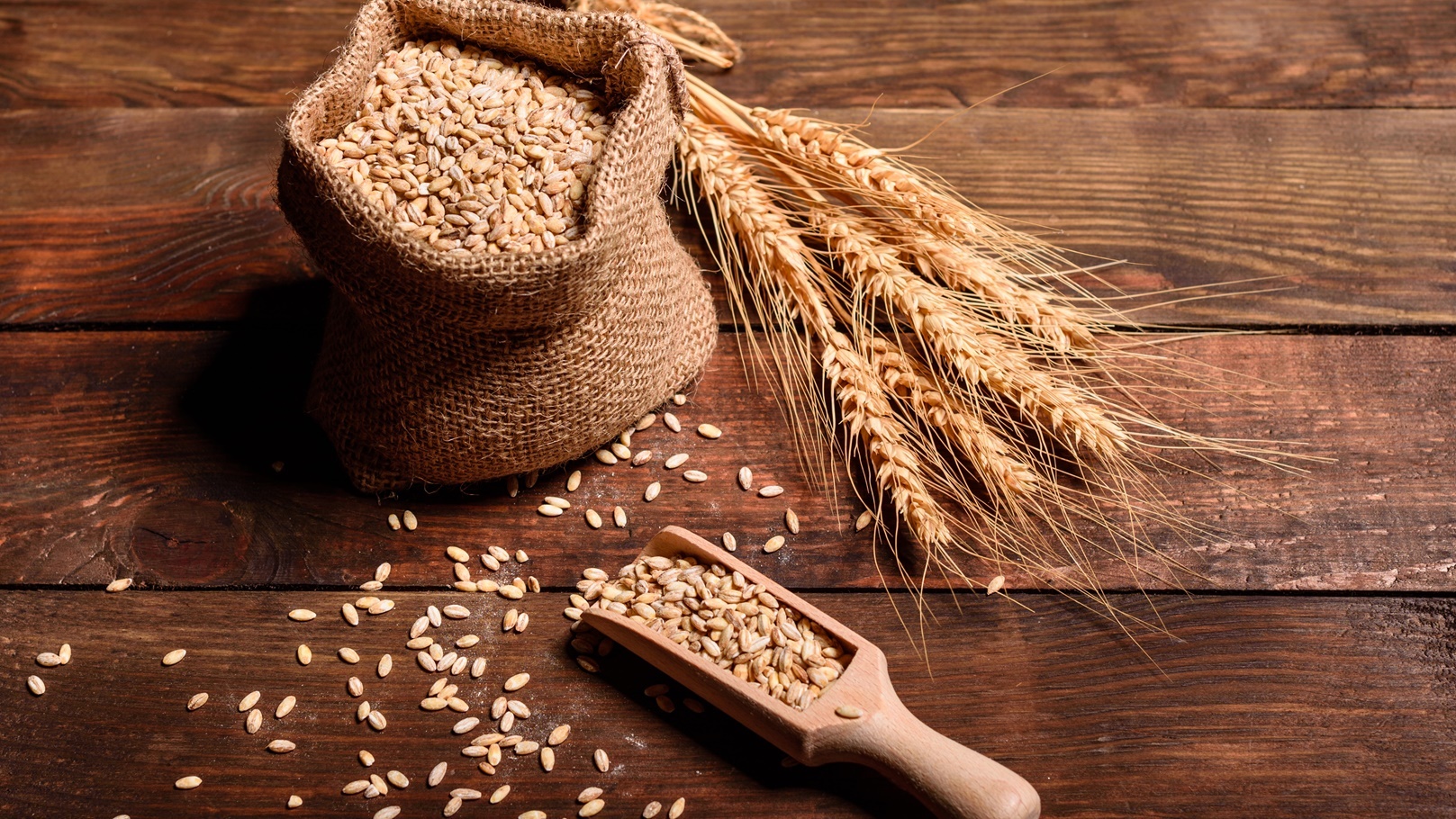 طريقة عمل البليلة