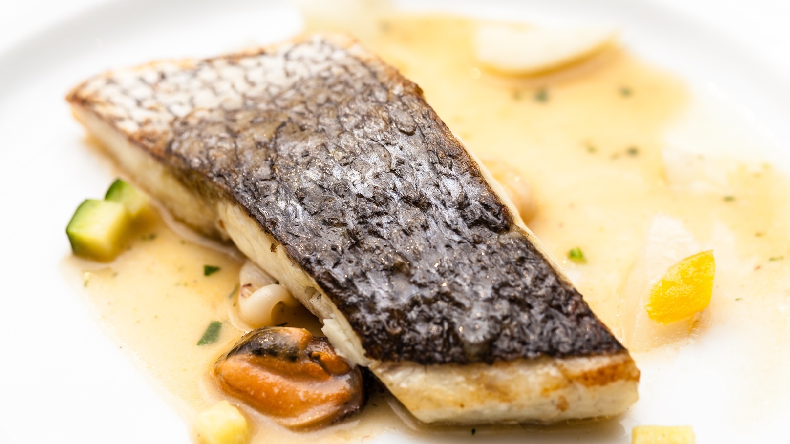 fish-fillet-2021-08-26-18-34-02-utc