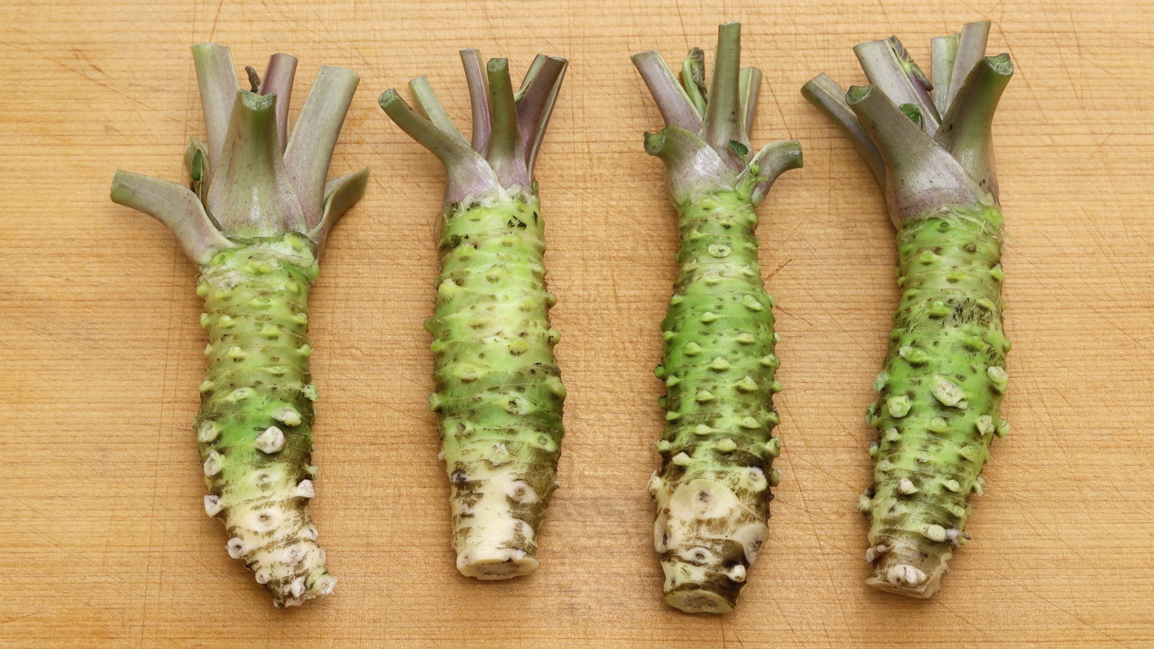 Horseradish