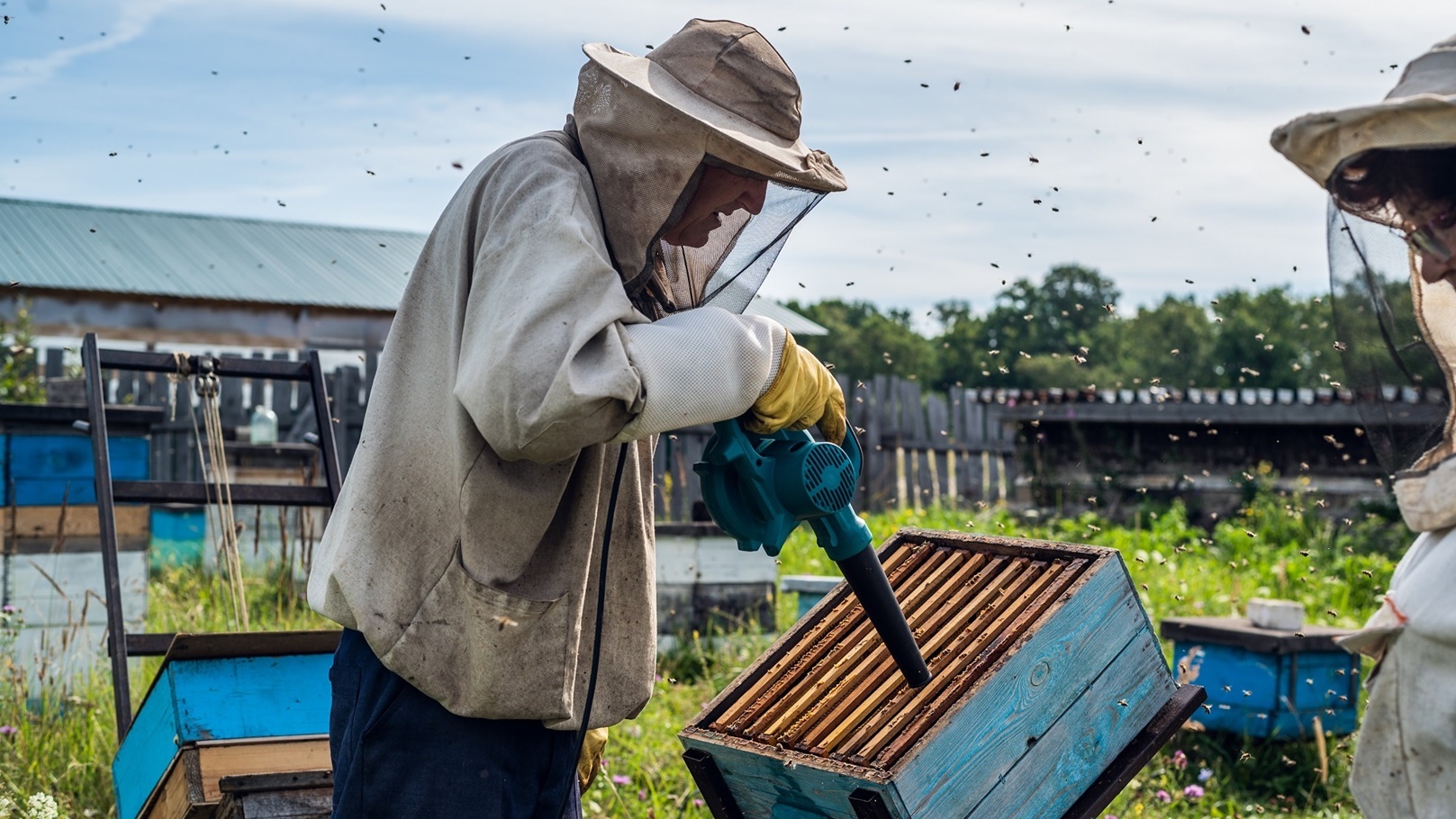 a-beekeeper-is-using-a-blower-blowing-air-inside-2021-08-29-08-39-07-utc