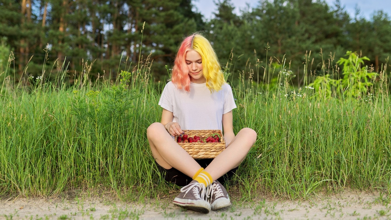 زراعة الفراولة