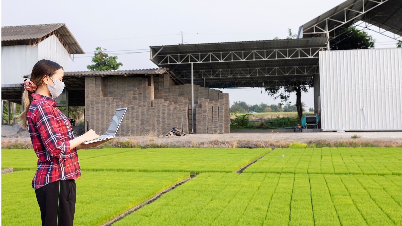 modern-method-of-rice-planting-2022-04-14-03-36-45-utc