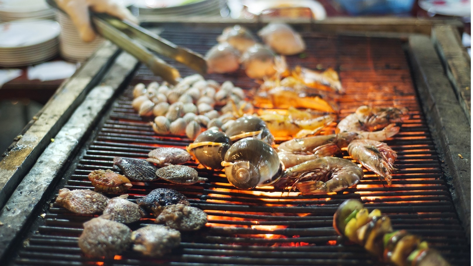 قواقع بحرية