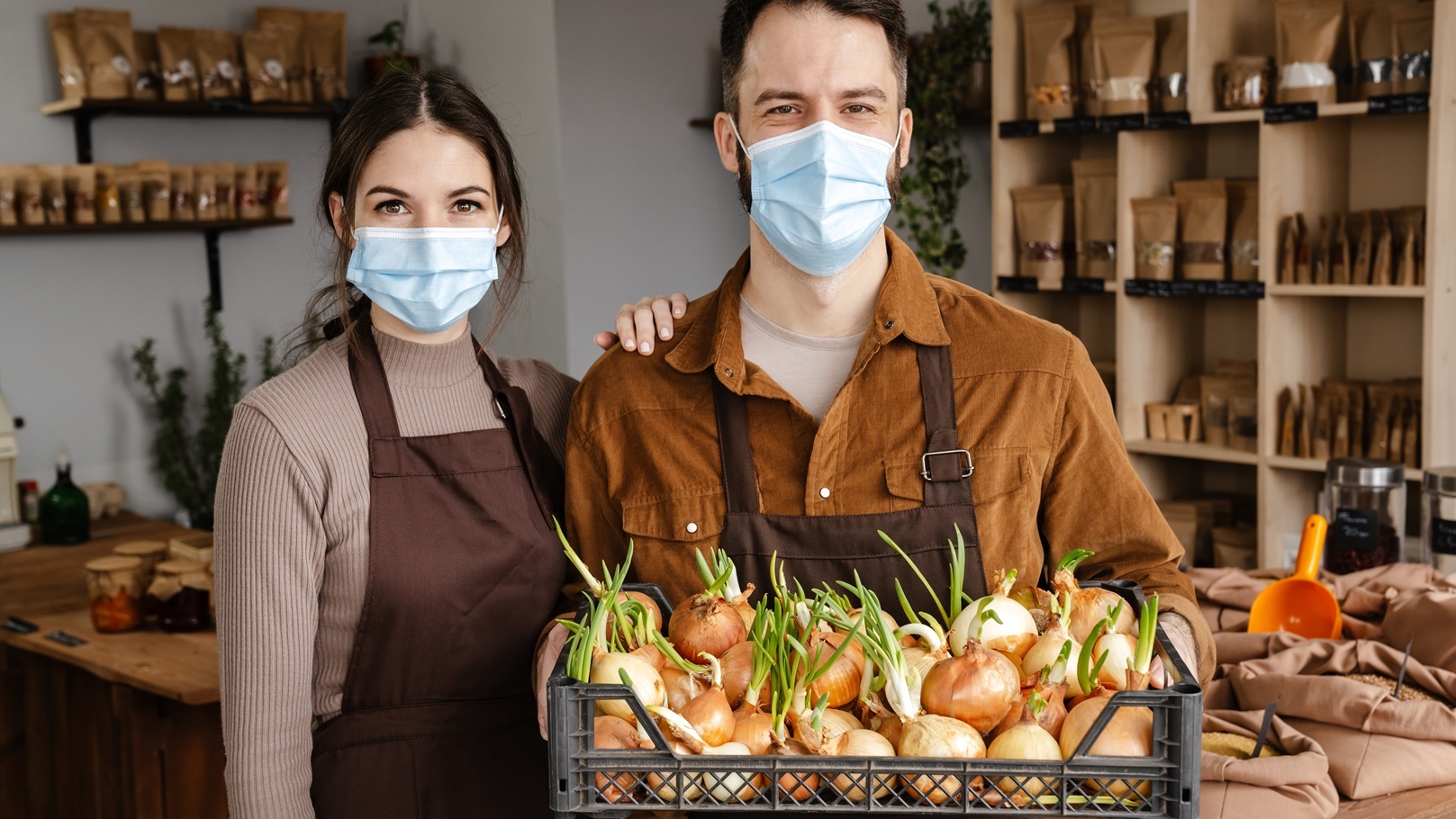 نباتات جذرية