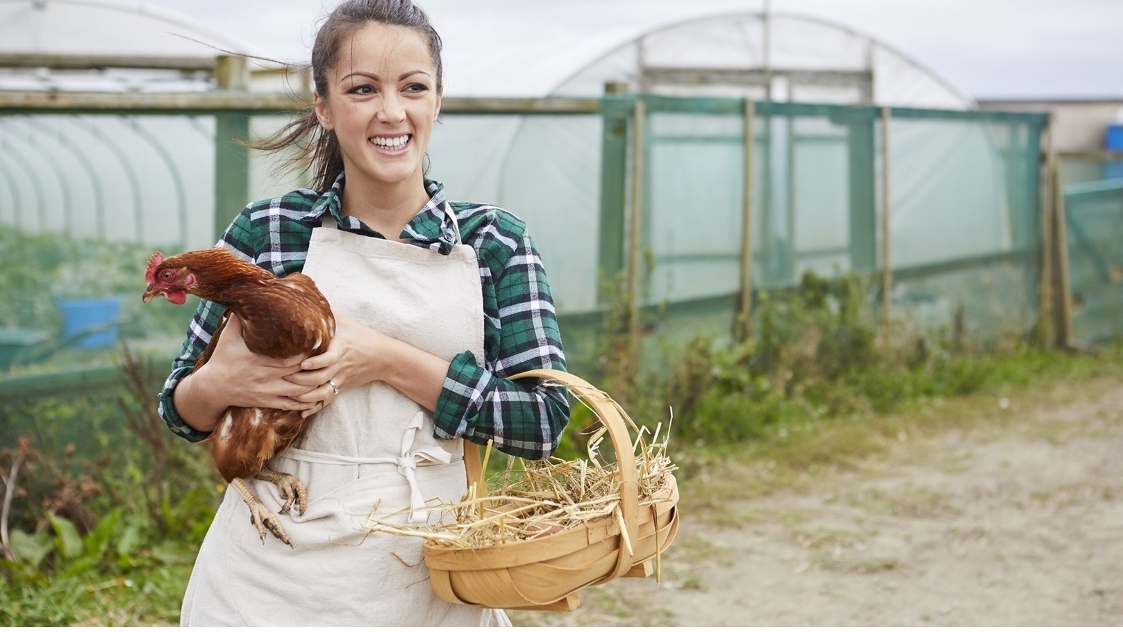 4202227105251551902138