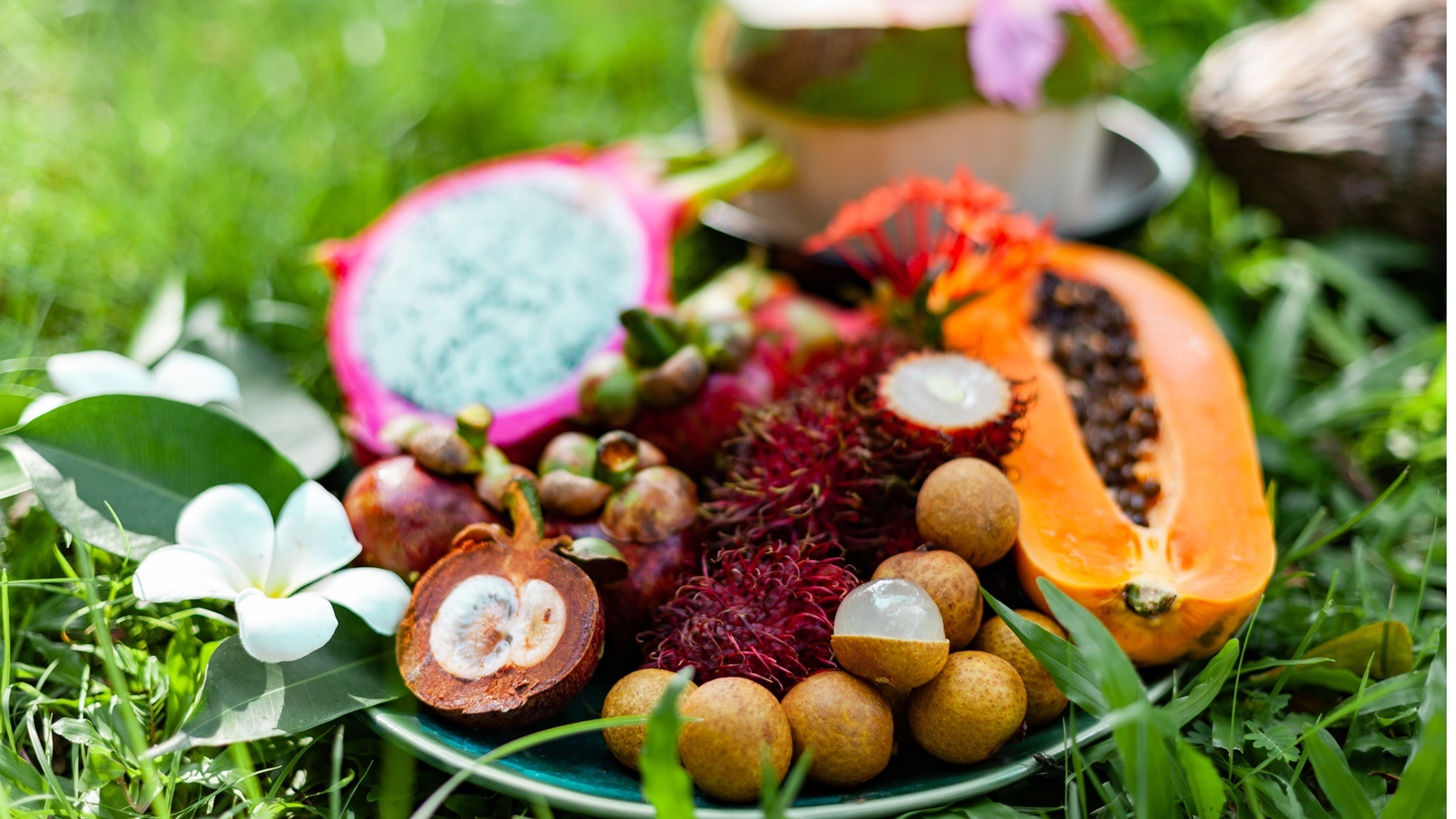 tropical-fruits-of-asia-region-thailand-on-grass-2021-08-30-14-17-37-utc