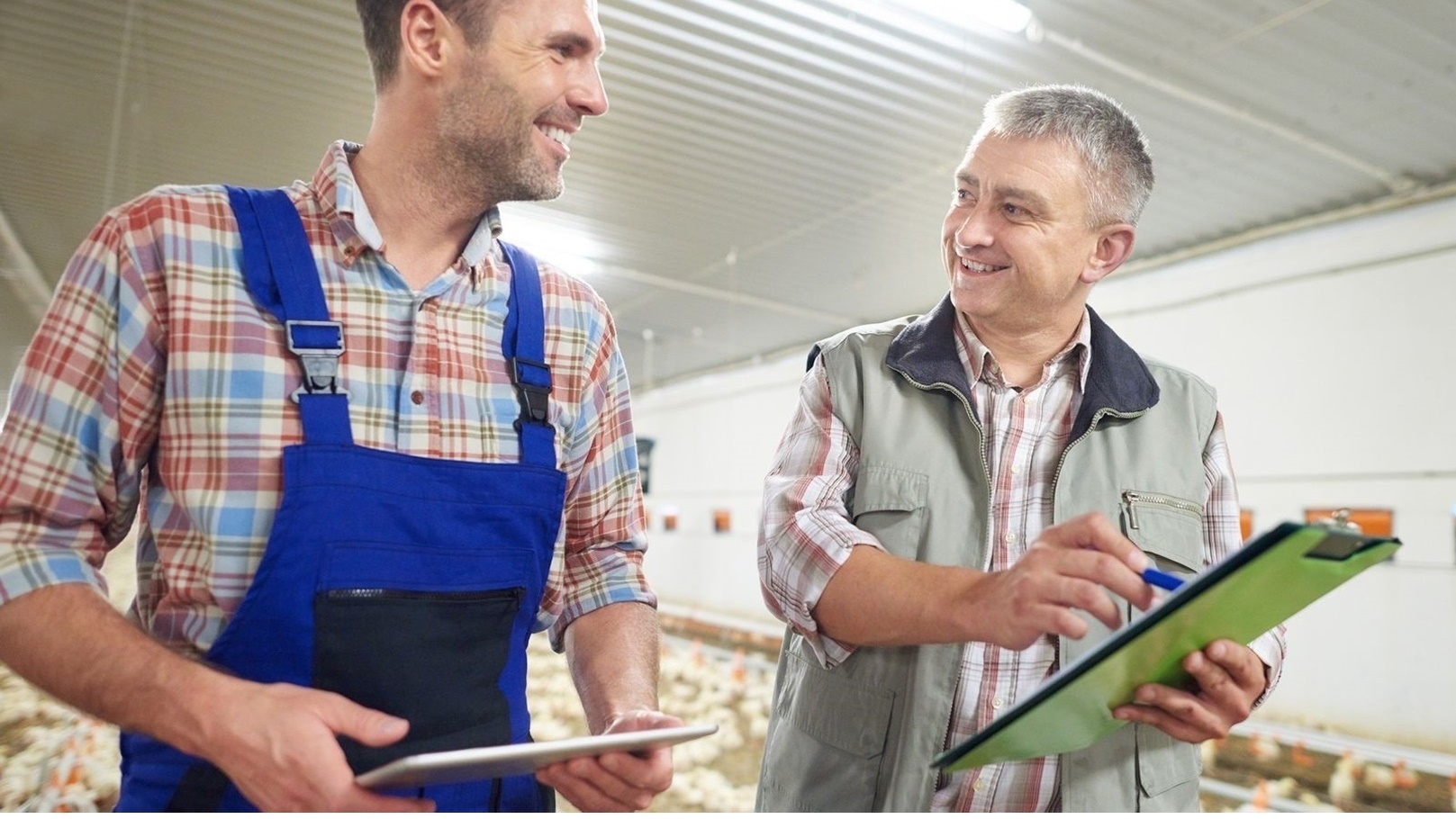 الاستثمار بالأغذية