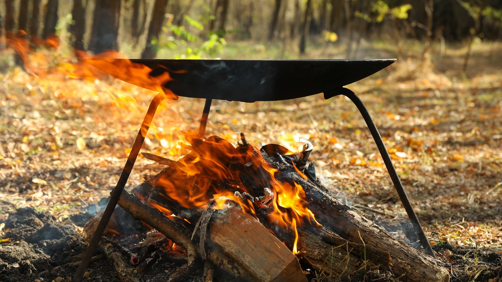 barbecue-brazier-and-bonfire-in-forest-space-for-2021-09-02-20-10-37-utc