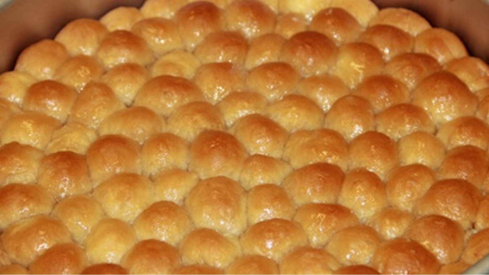 خلية النحل بالعسل