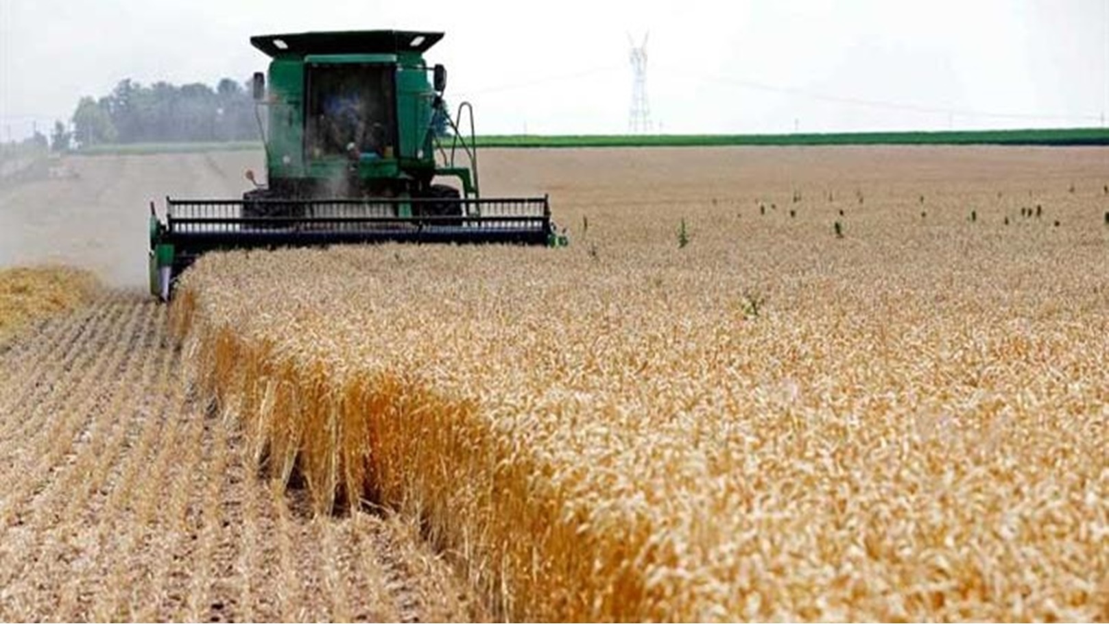 2018_5_5_2_22_15_725