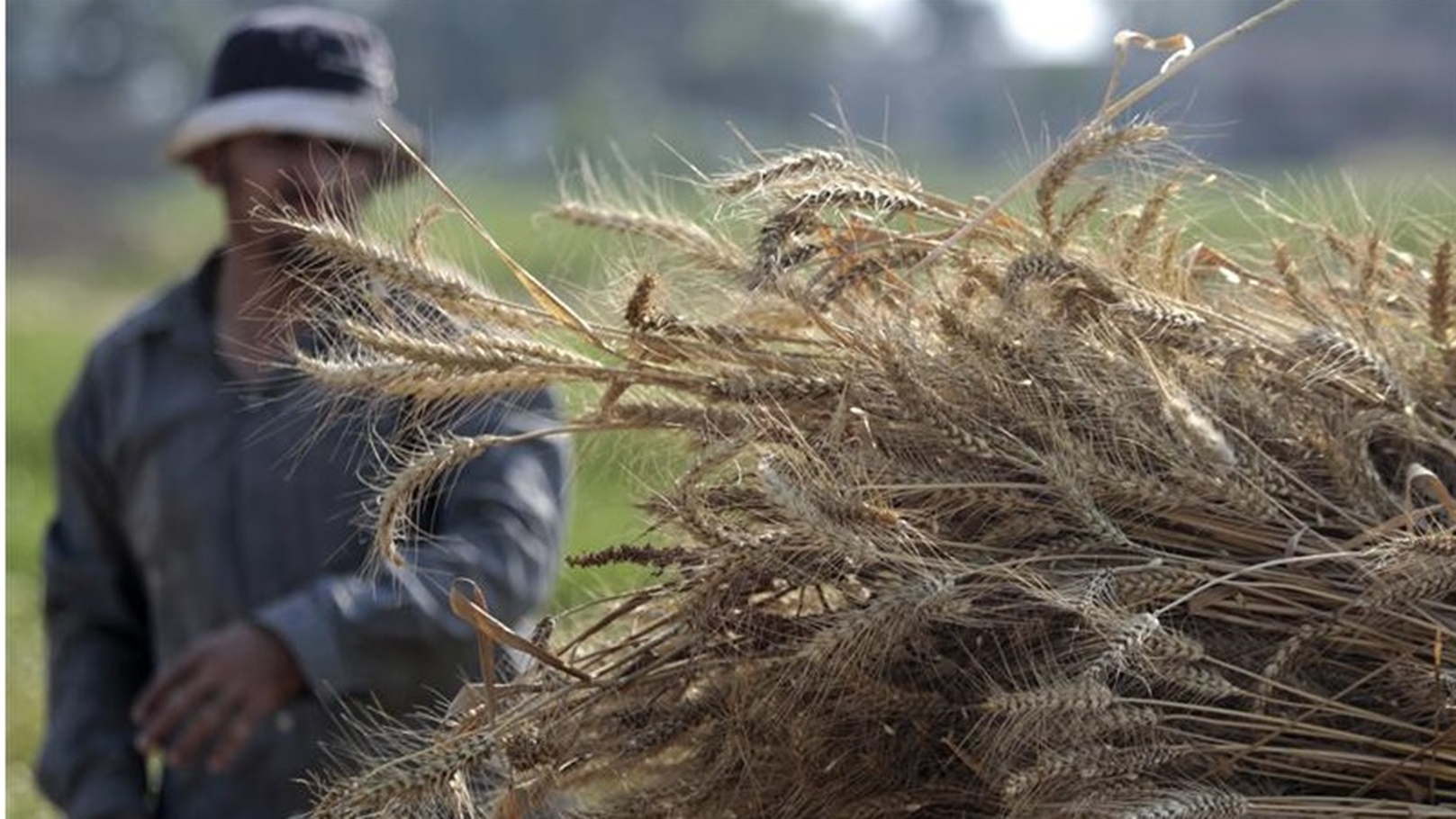 f7ef6c6a-8c1c-44ed-b65b-5b12ffa2b7a9