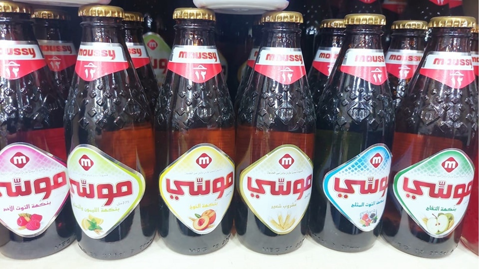 343455832_644056414220332_3333218415499581582_n