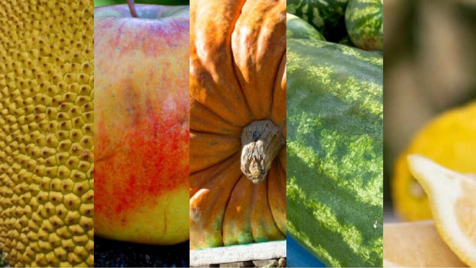 8a8be93e-ba78-47fe-a34d-69b8baeef3be