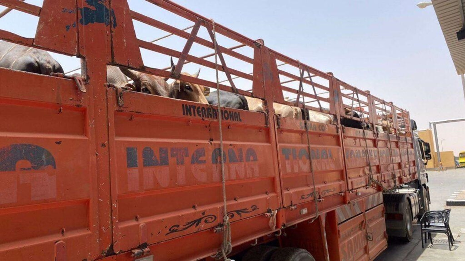 معبر-قسطل2-1024x576