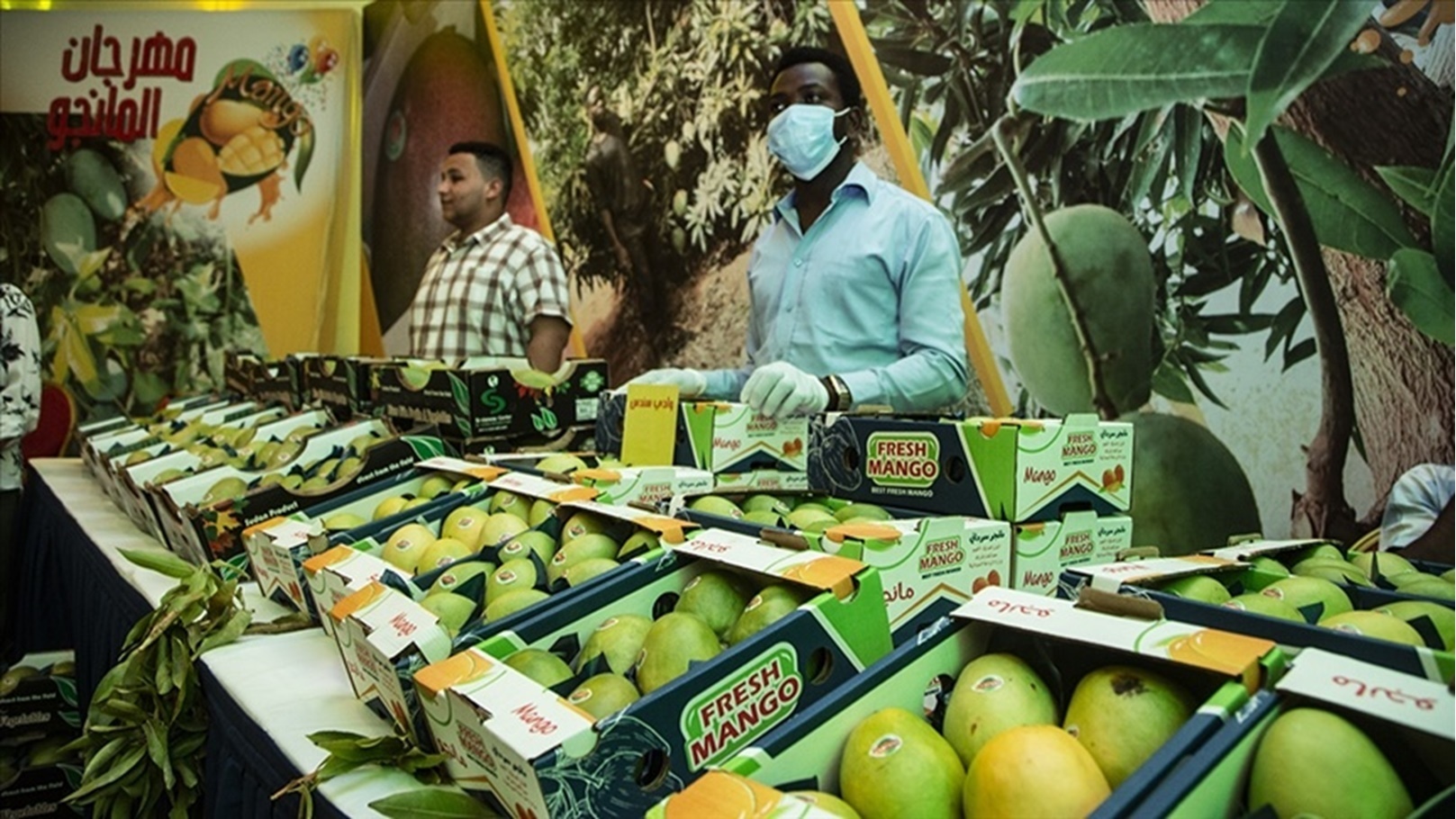 thumbs_b_c_604fff3878e5c013049625f1444fdaf1