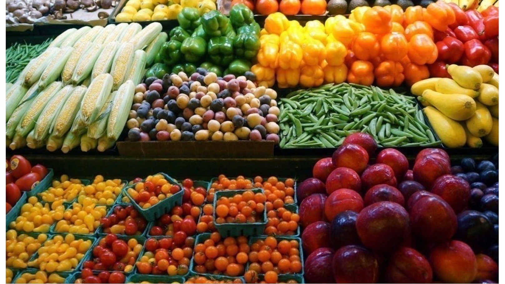 صادرات زراعية