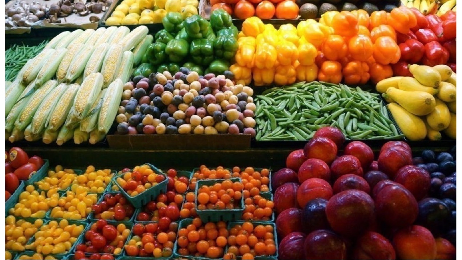 صادرات زراعية