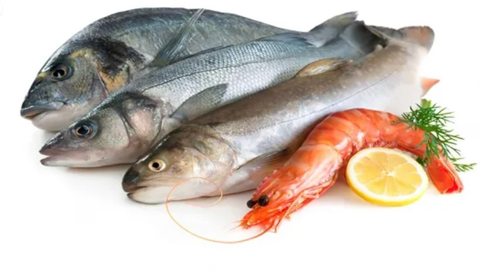 اسعار الاسماك