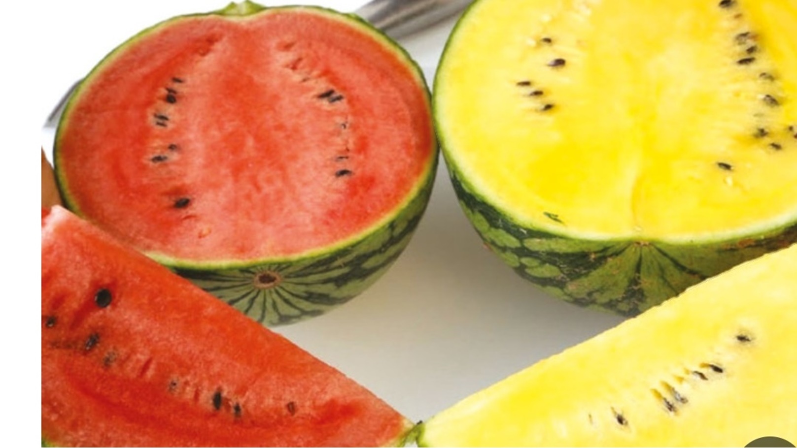 Screenshot_٢٠٢٤-٠٥-١٤-٠٠-١٩-٣٢-٤١٧_com.google.android.googlequicksearchbox