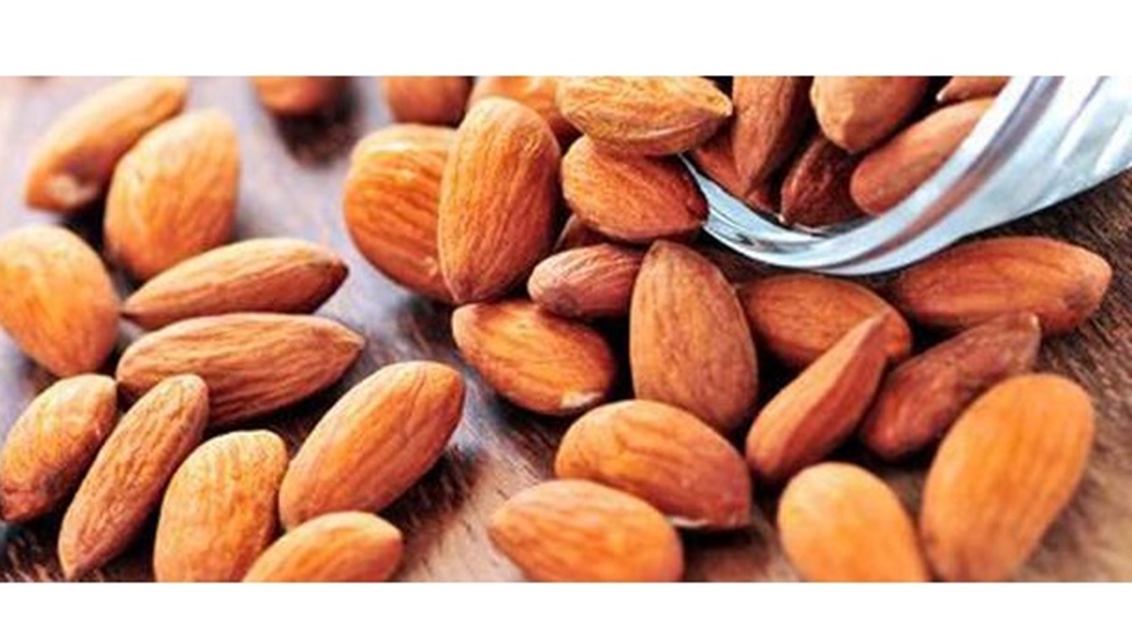 tbl_articles_article_14061_587