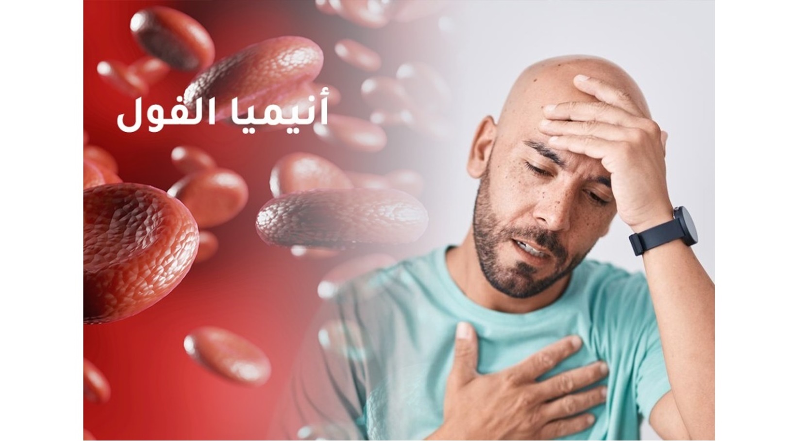 c6289f0a-1827-49f2-8d9d-ad6fb6a523d5