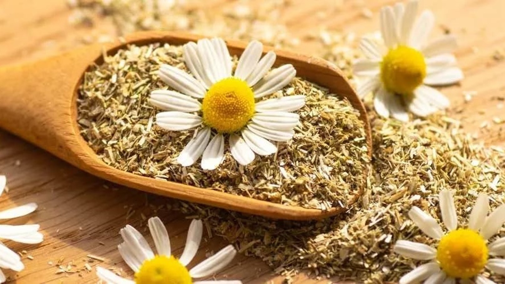 872c175c-5c32-41a1-a1bd-d162f1209a27