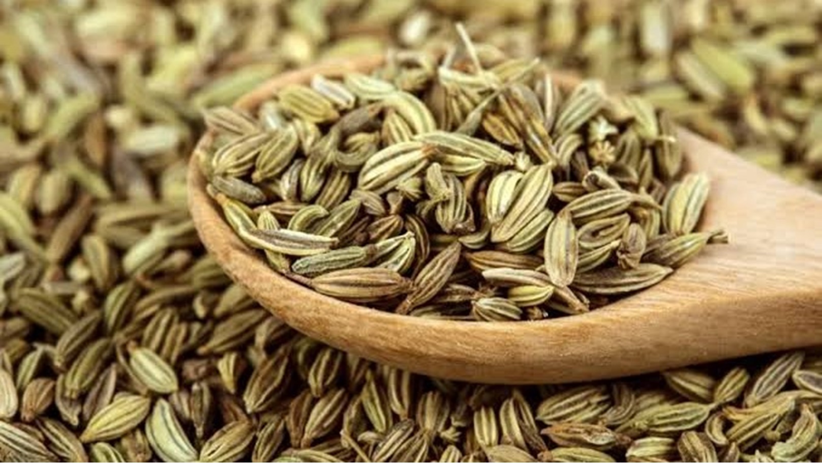 images - 2024-05-19T235014.811