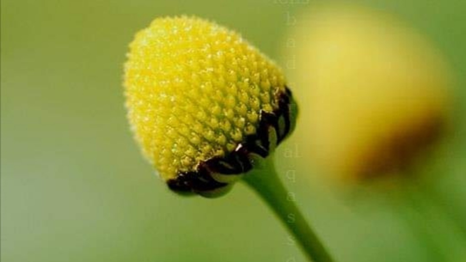 IMG_٢٠٢٤٠٥٢١_٠١٢٦١١