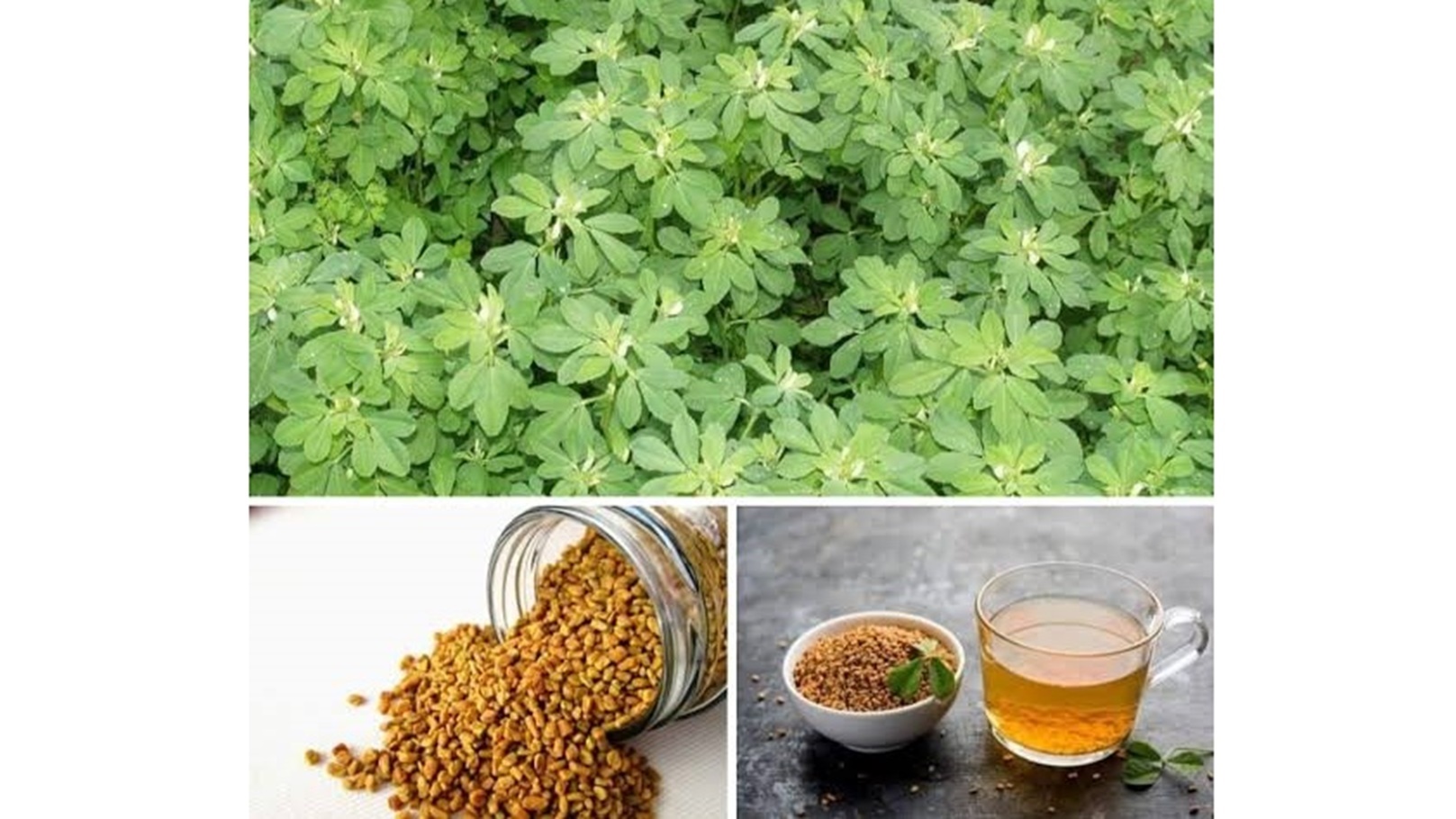 images - 2024-05-21T152630.959