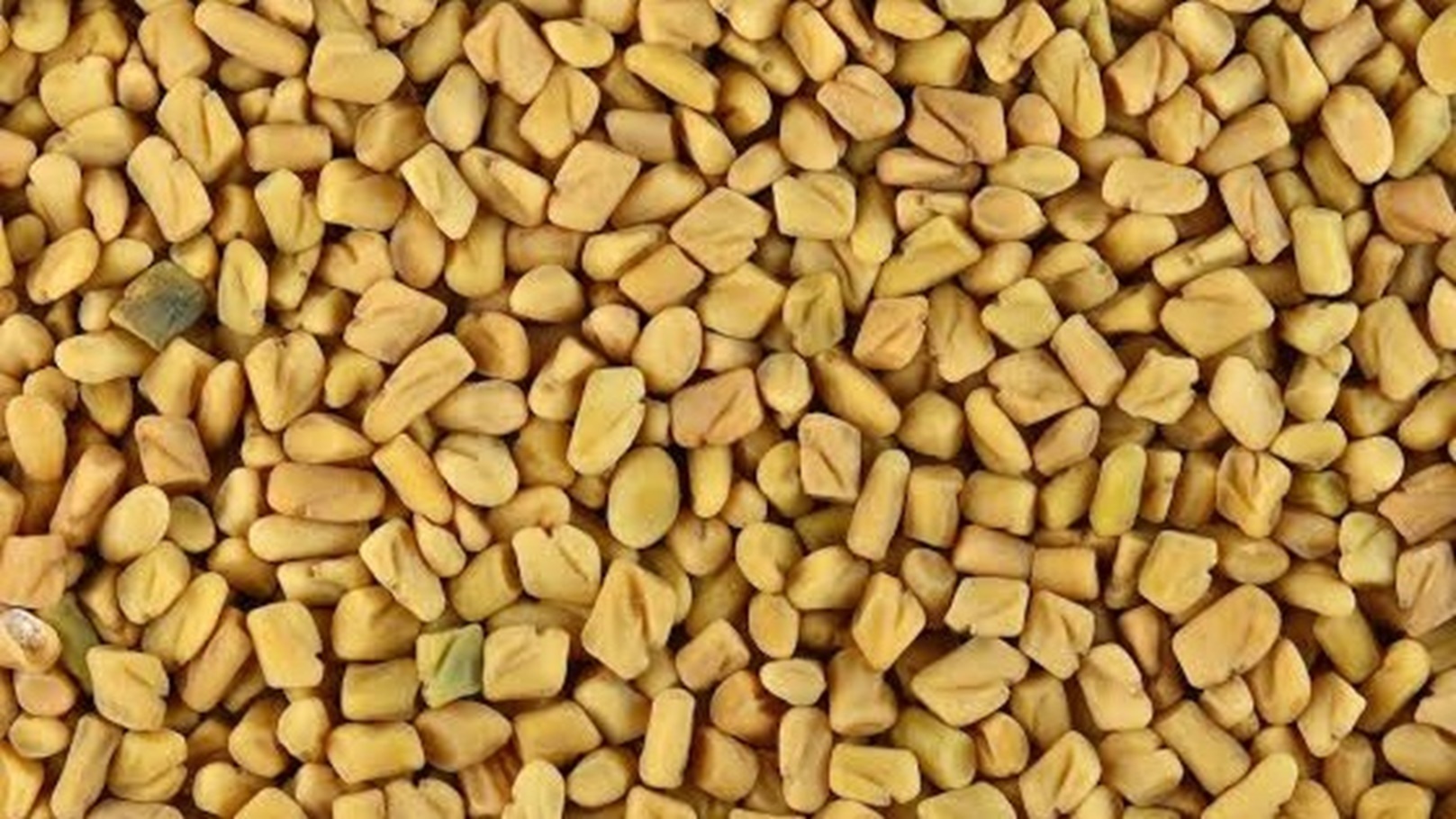 images - 2024-05-21T182152.665