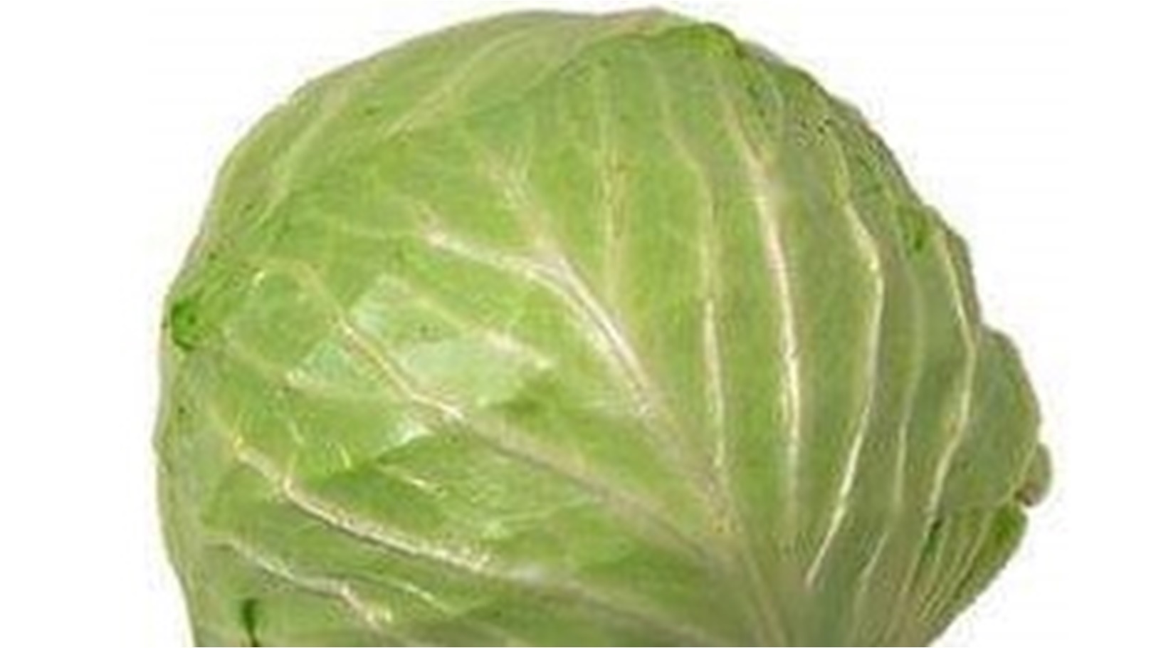 FB_IMG_1716309385728