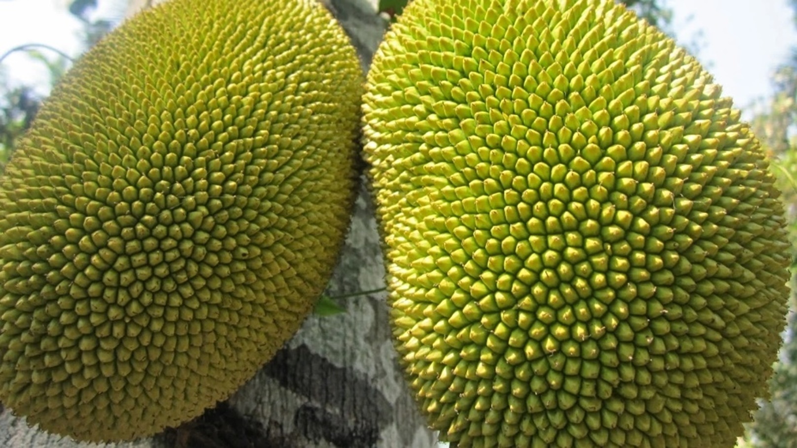 Screenshot_٢٠٢٤-٠٥-٢٢-١٢-٥٩-٢٨-٥٣٠_com.android.chrome