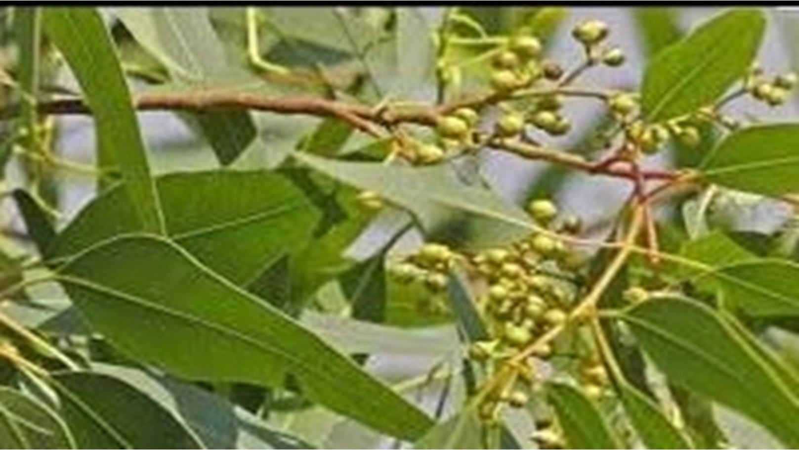 images - 2024-05-24T163111.110