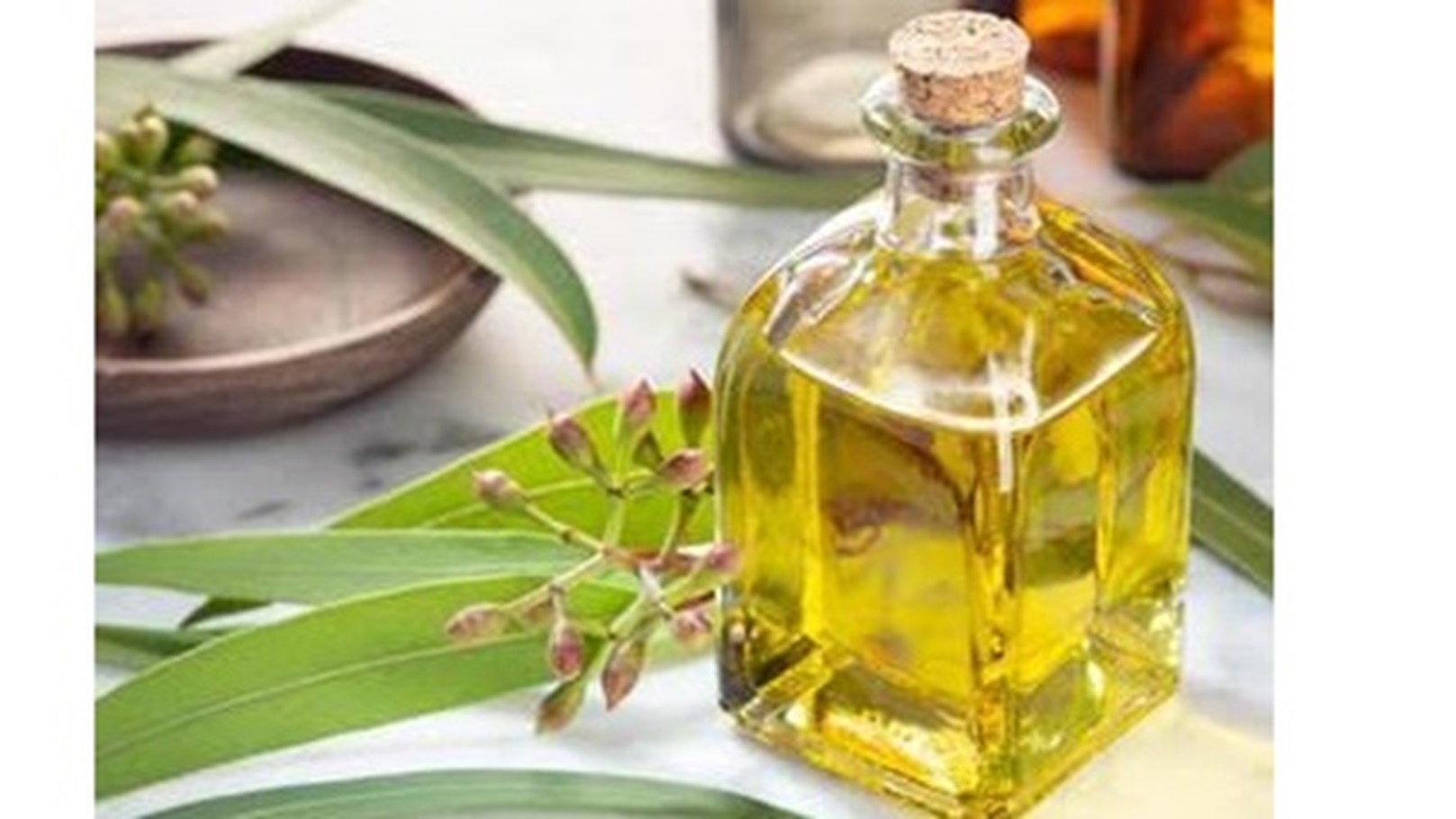 images - 2024-05-24T163444.933