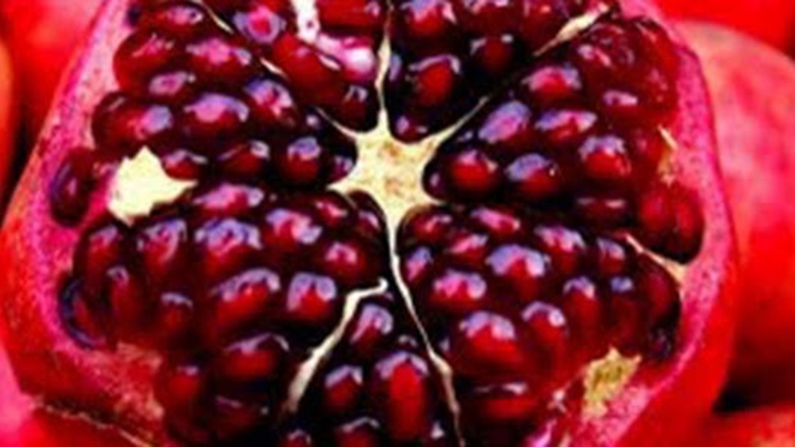 images - 2024-05-24T175220.995