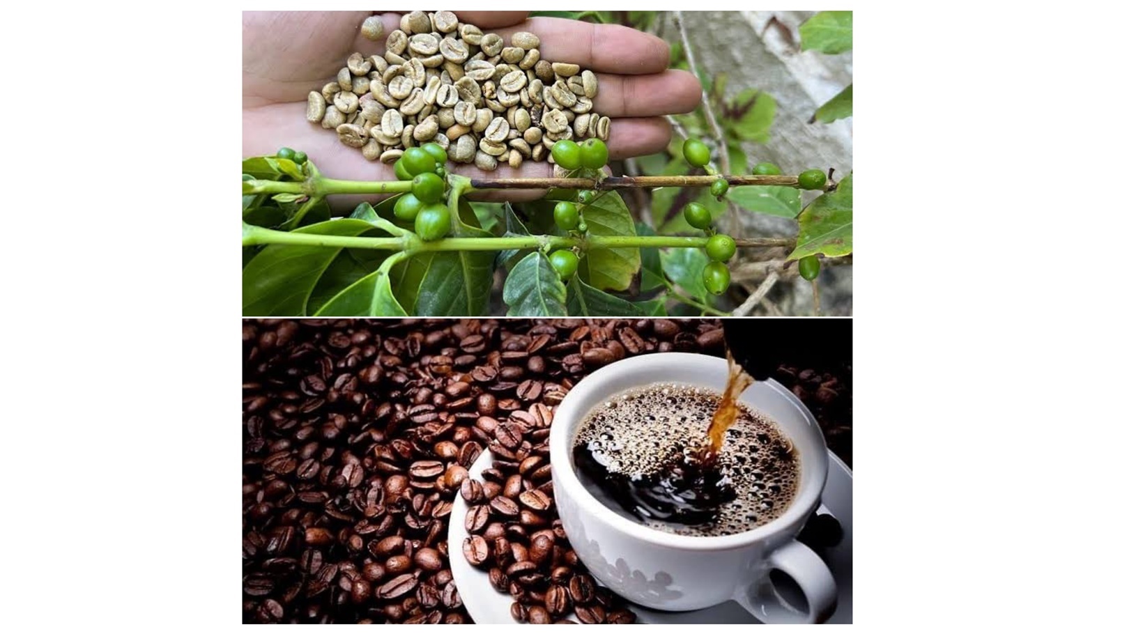 IMG_٢٠٢٤٠٥٢٦_١٧٤٥٣٢