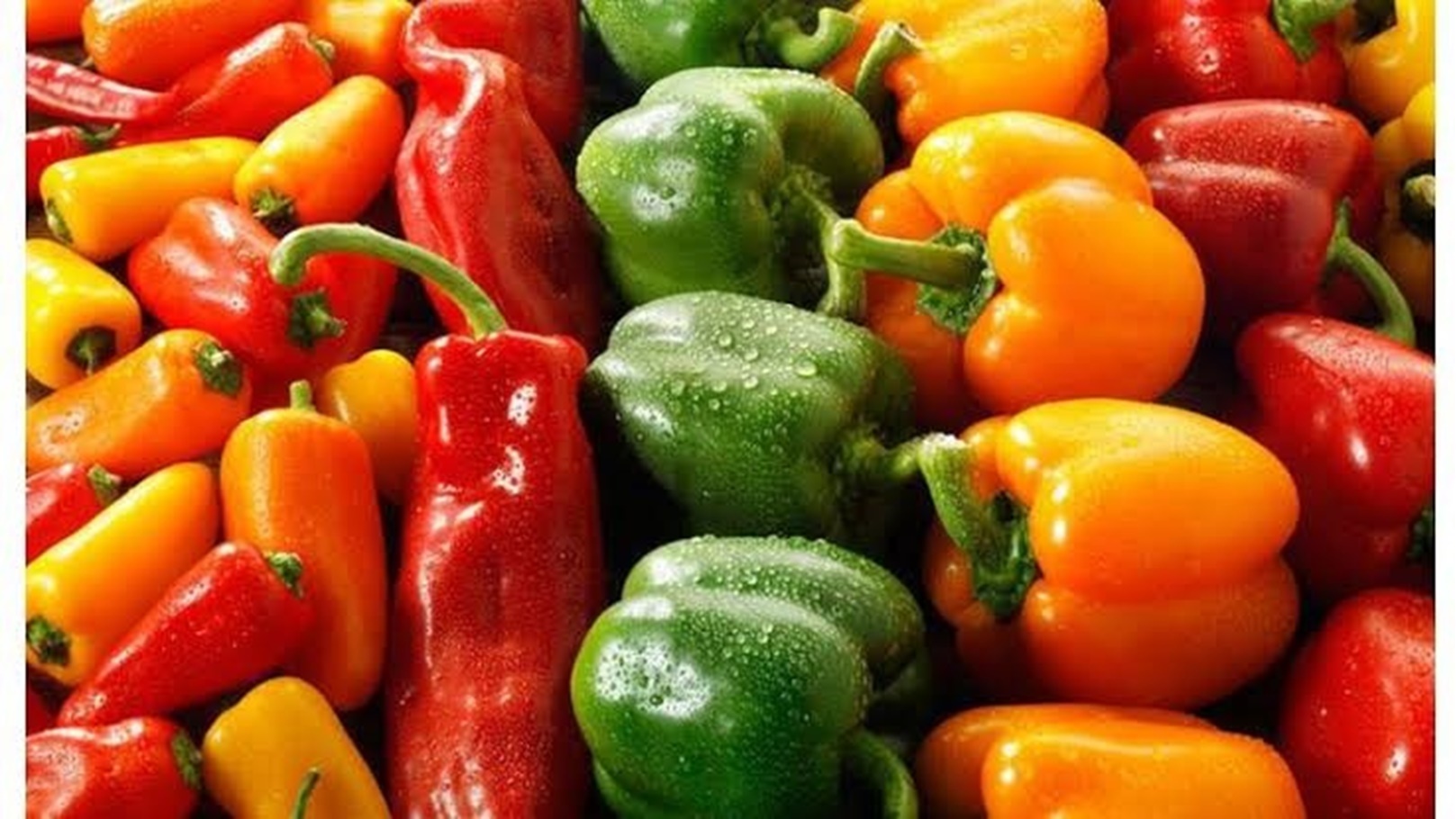 images - 2024-05-29T001617.186