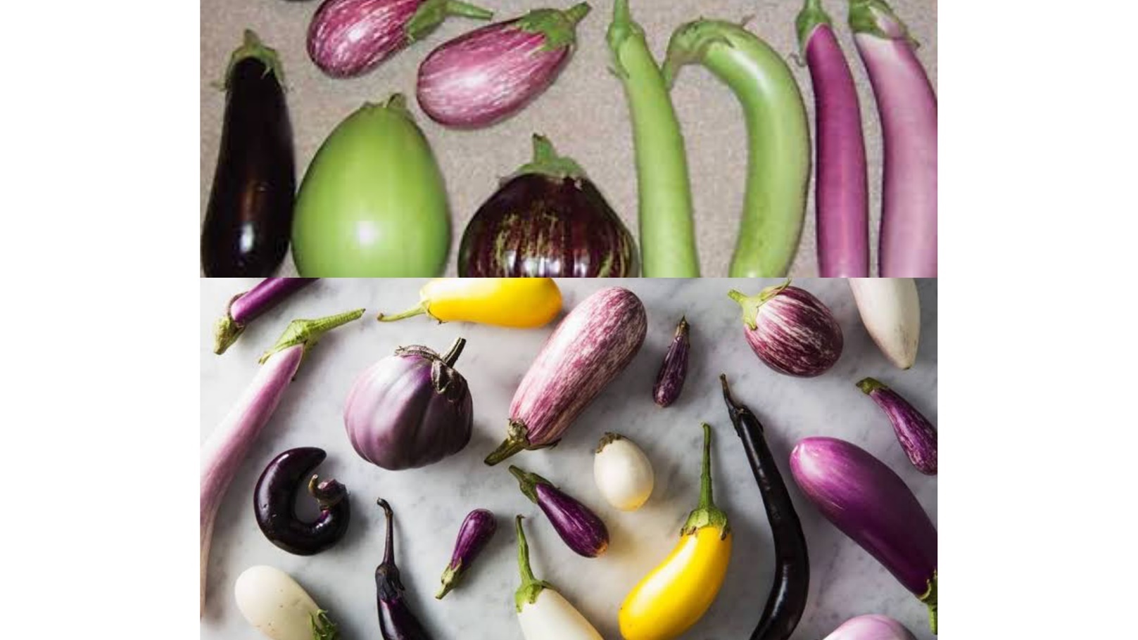 IMG_٢٠٢٤٠٥٢٩_١٠٤٢٤٧