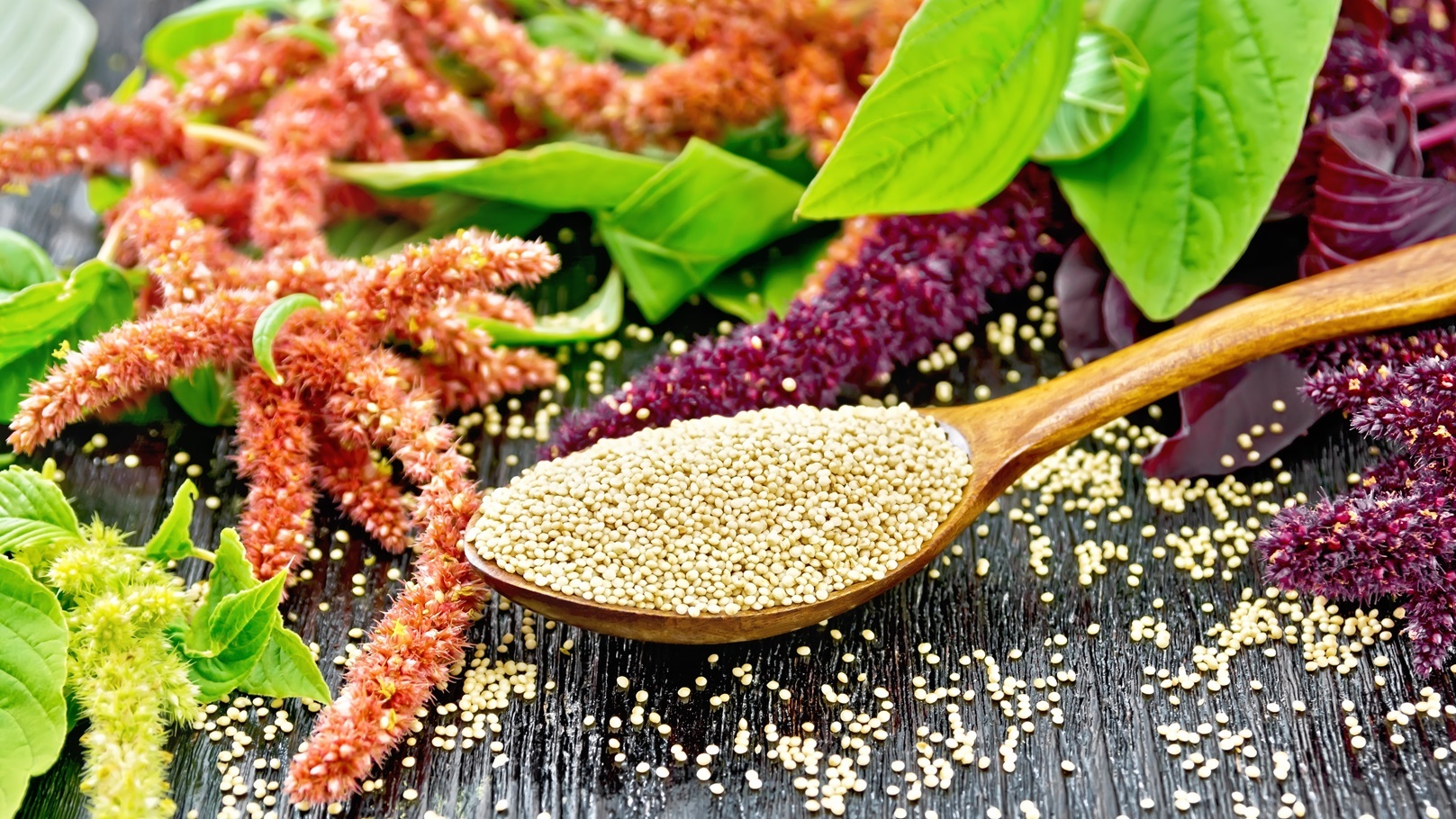 Amaranth