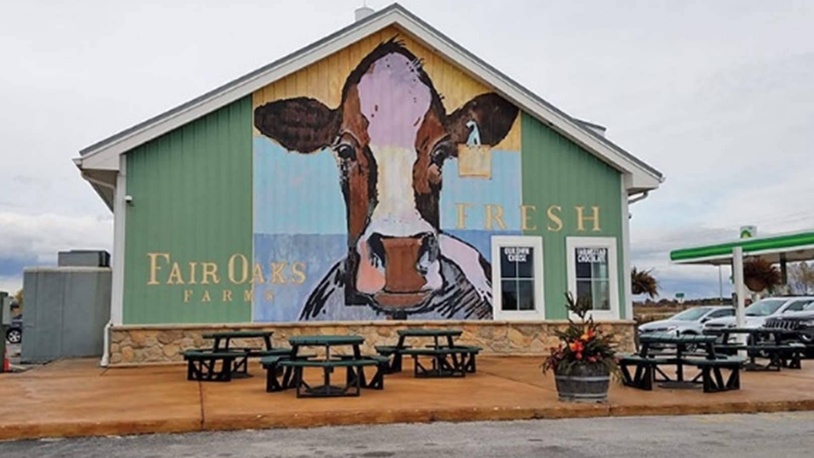 عخعخخعخخعخ