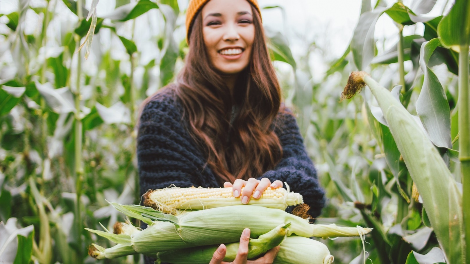 فوائد شعر الذرة