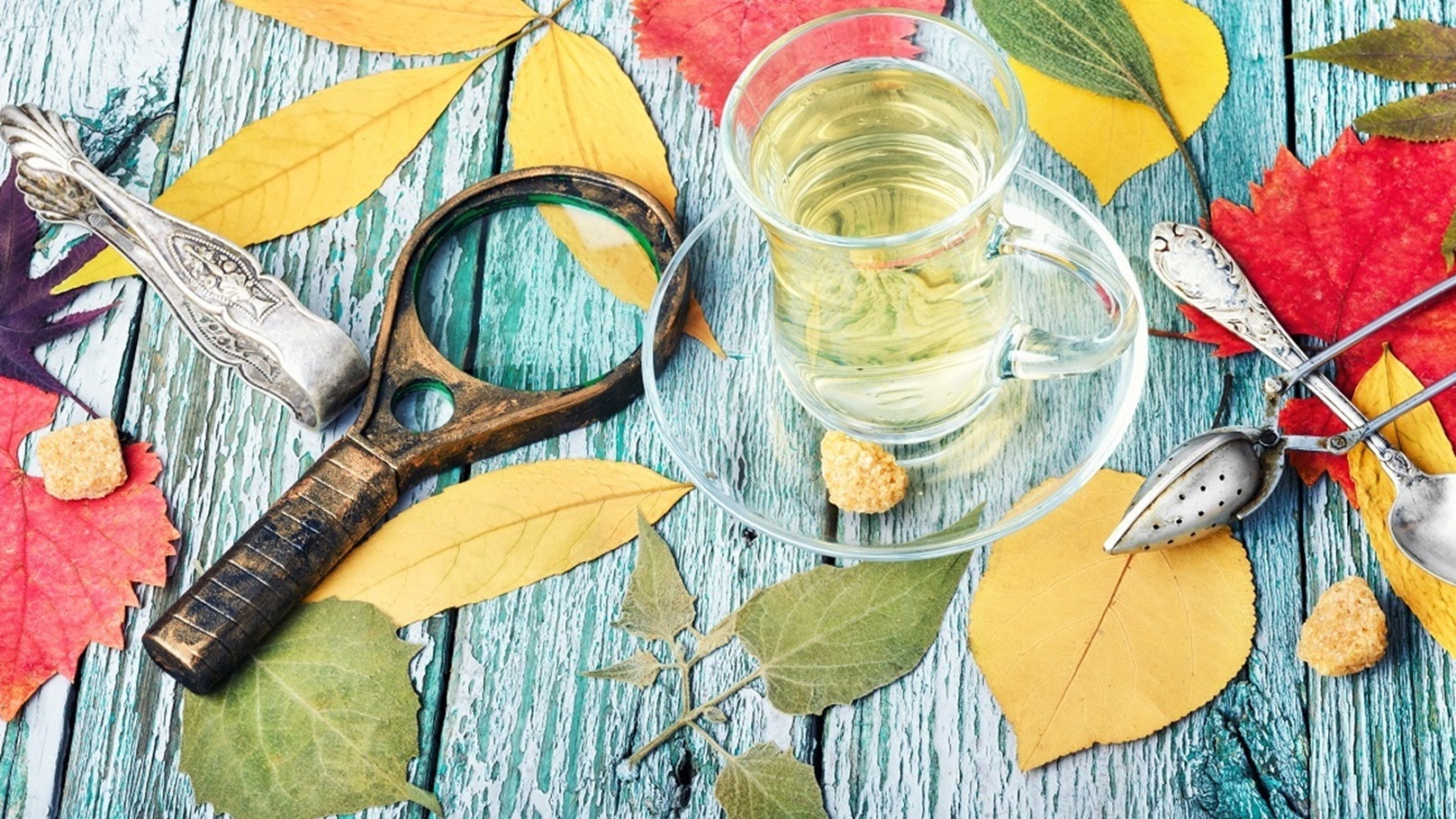 ورق الجوافة