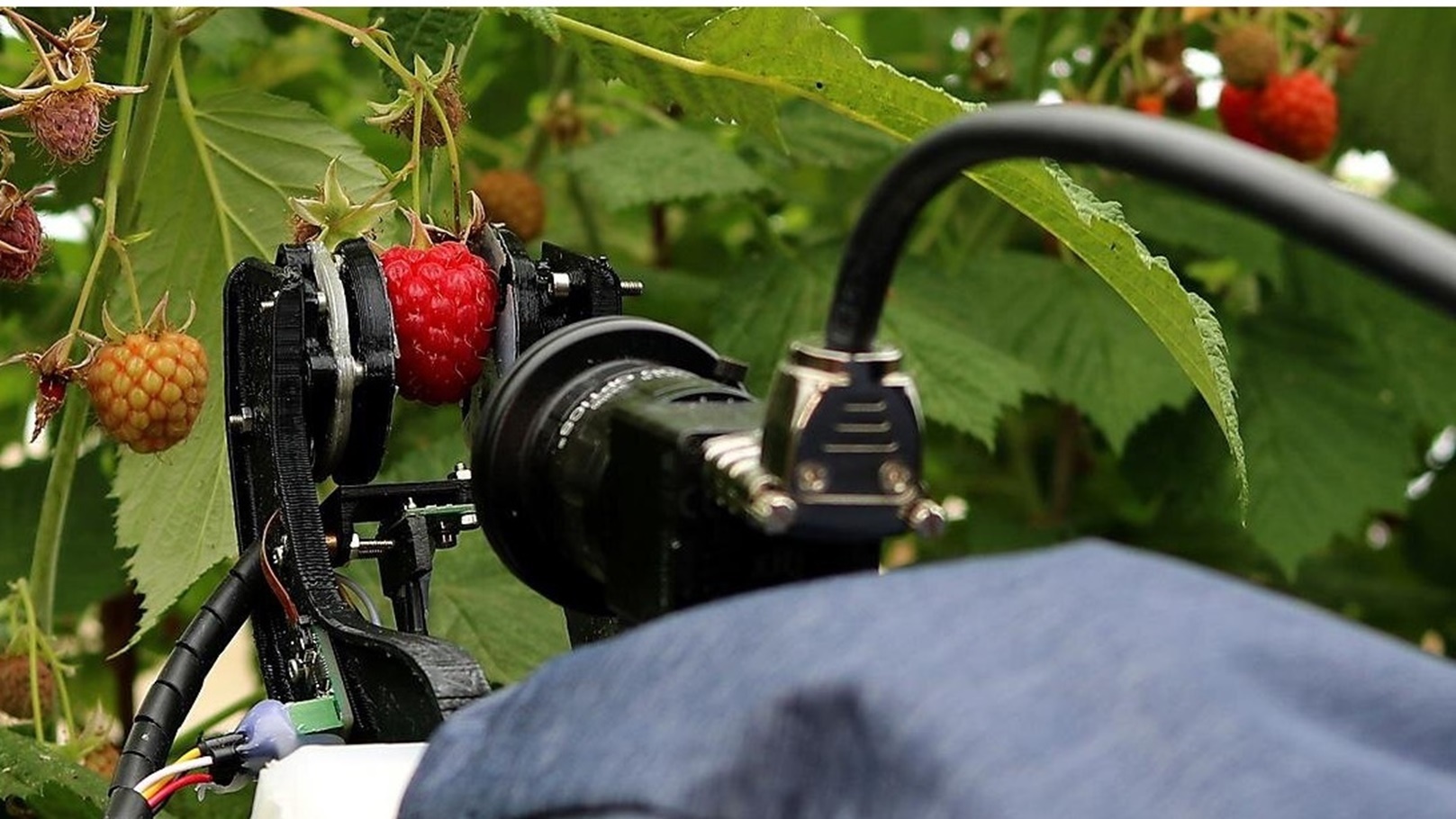 ثضيءسثثيشءس