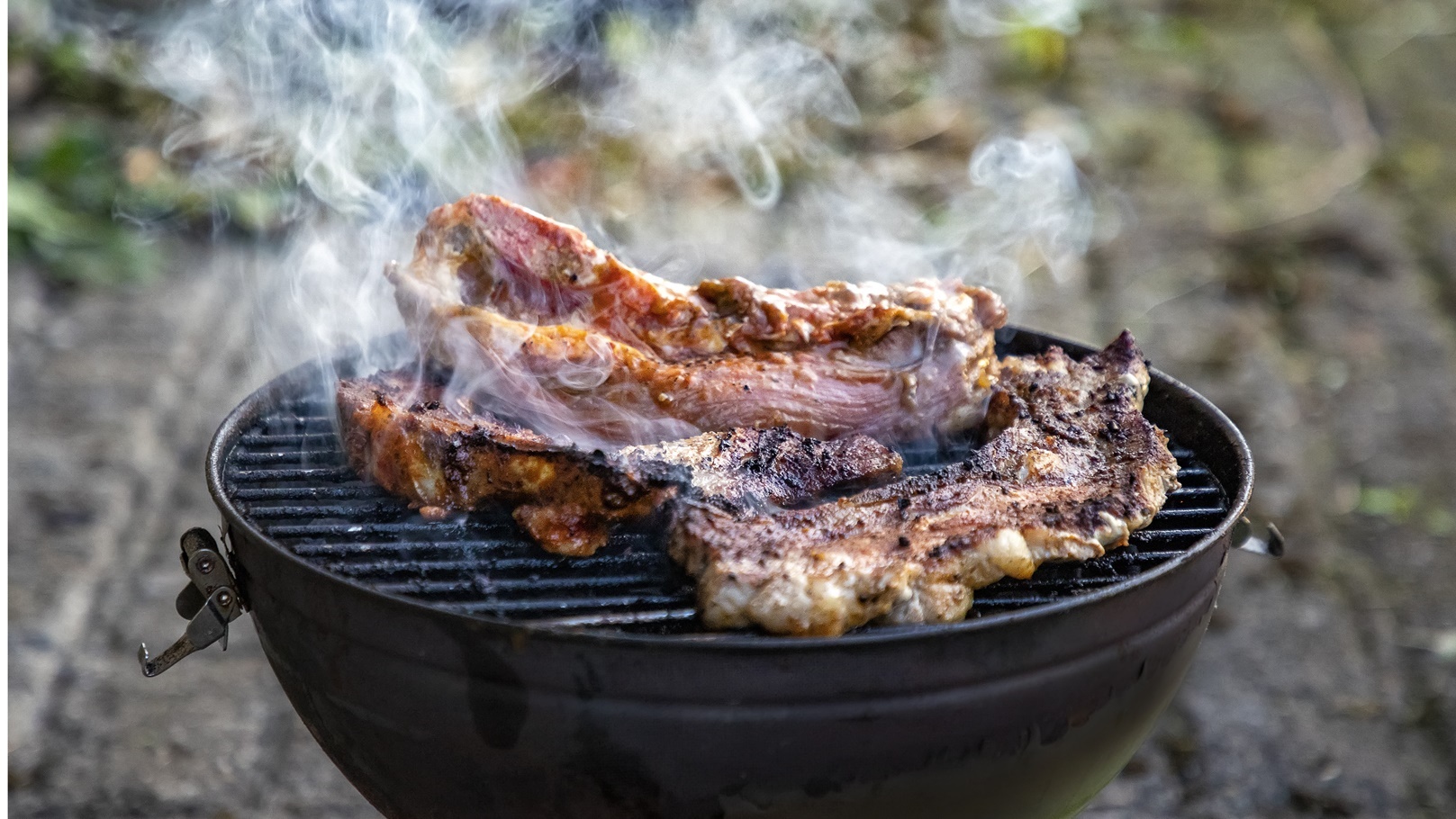 barbecue-2021-08-28-11-15-20-utc (1)