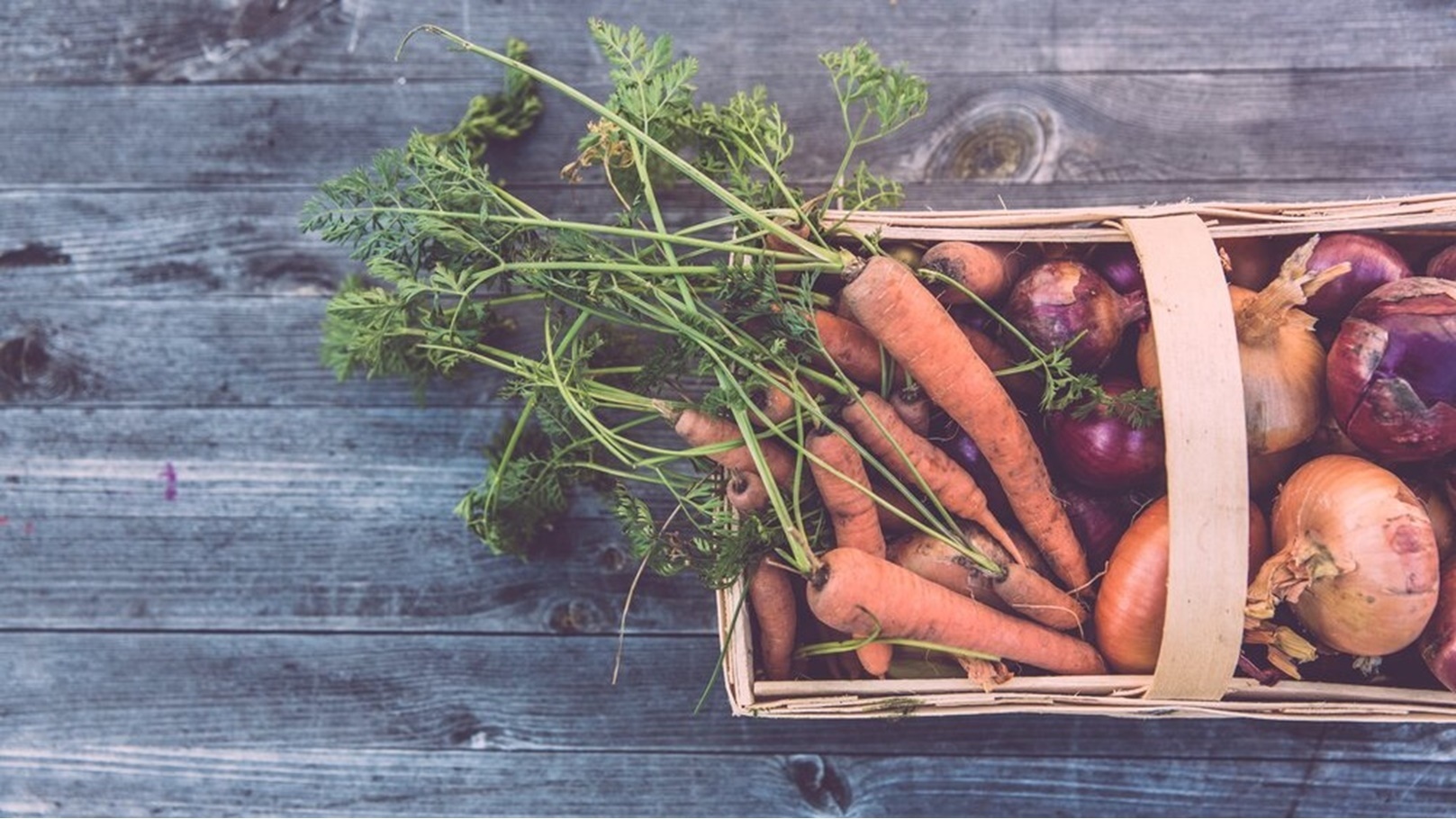 sustainable-gastronomy-day