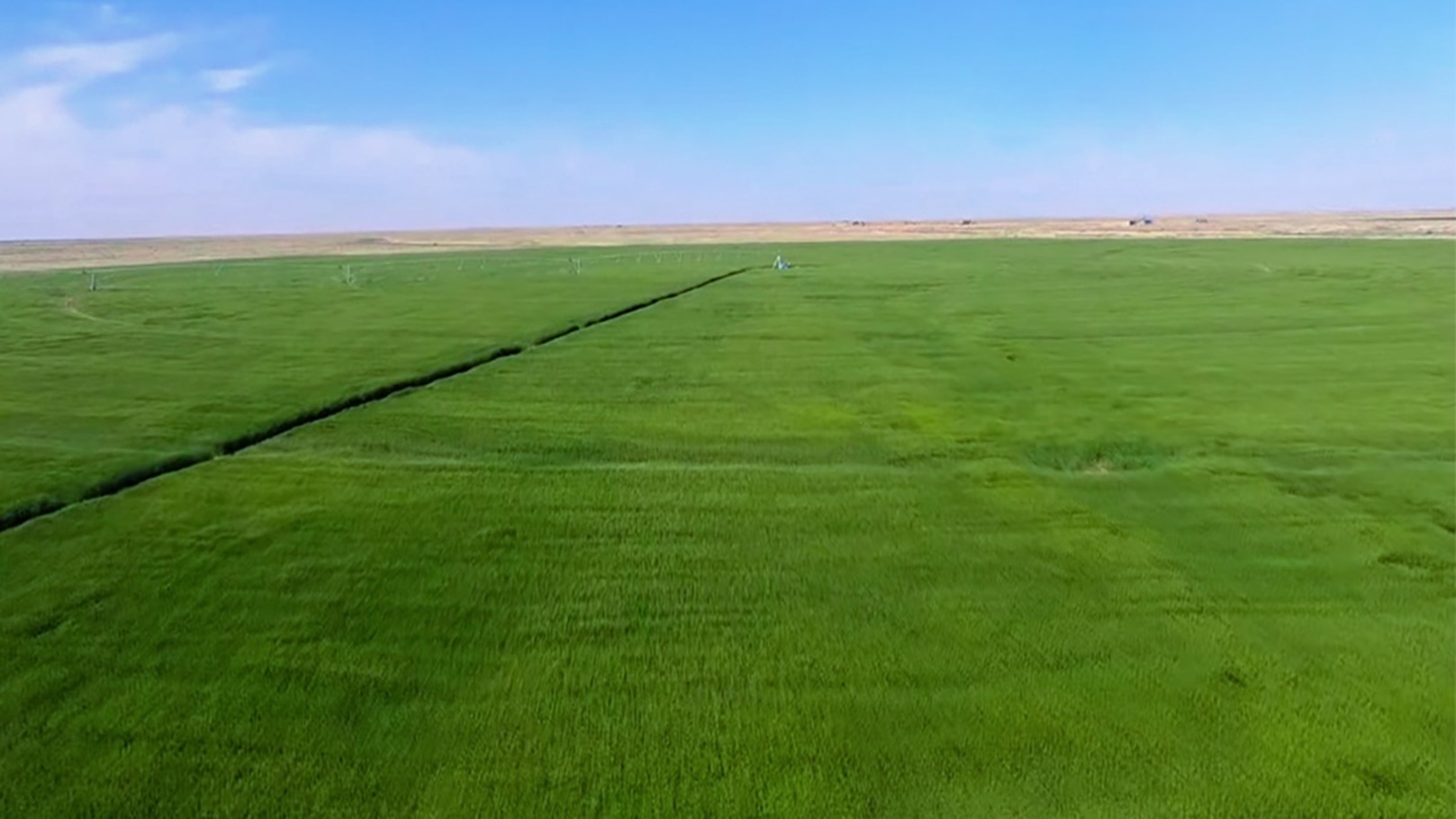 مشروع توشكى