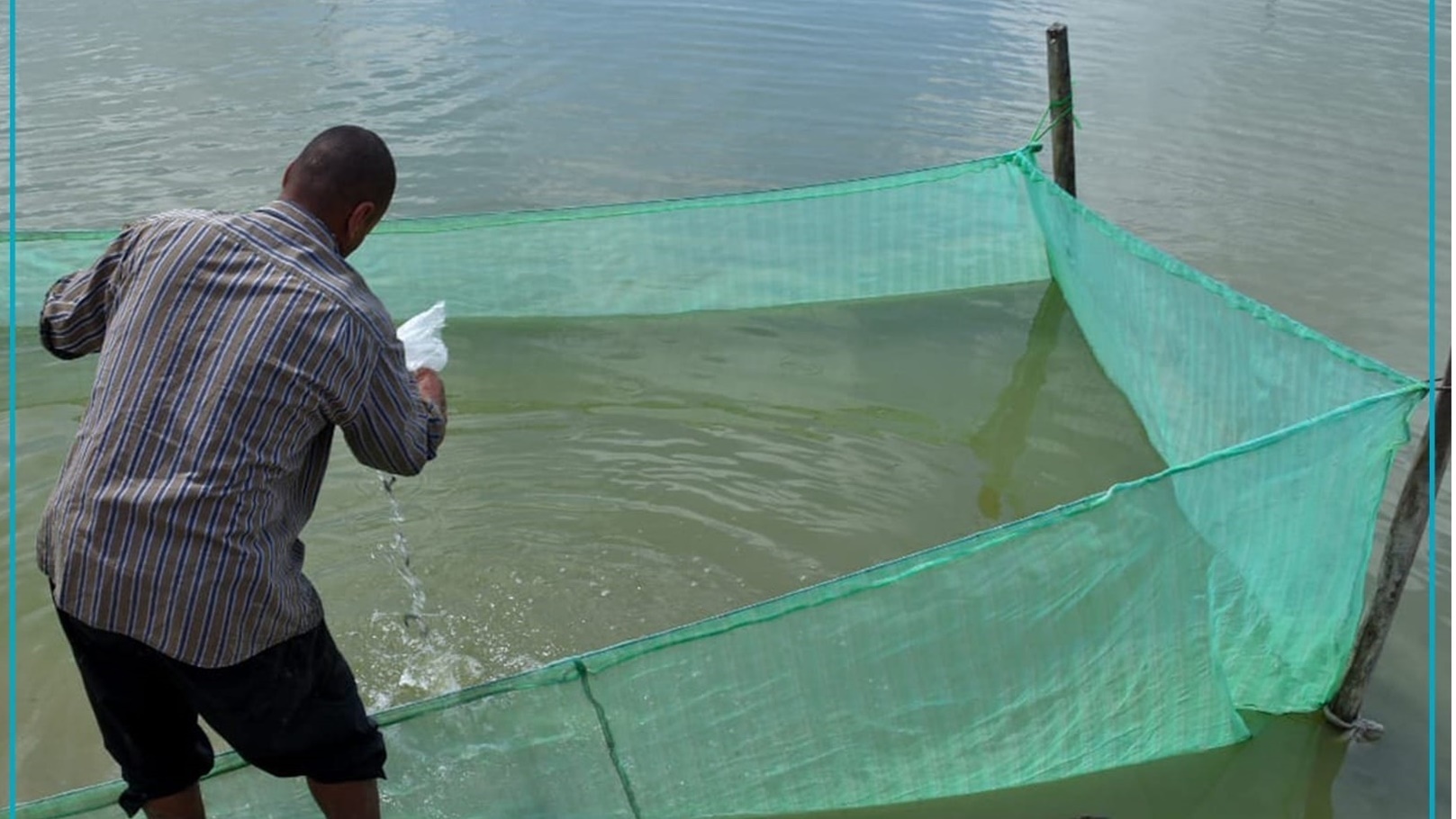 محافظ الإسكندرية