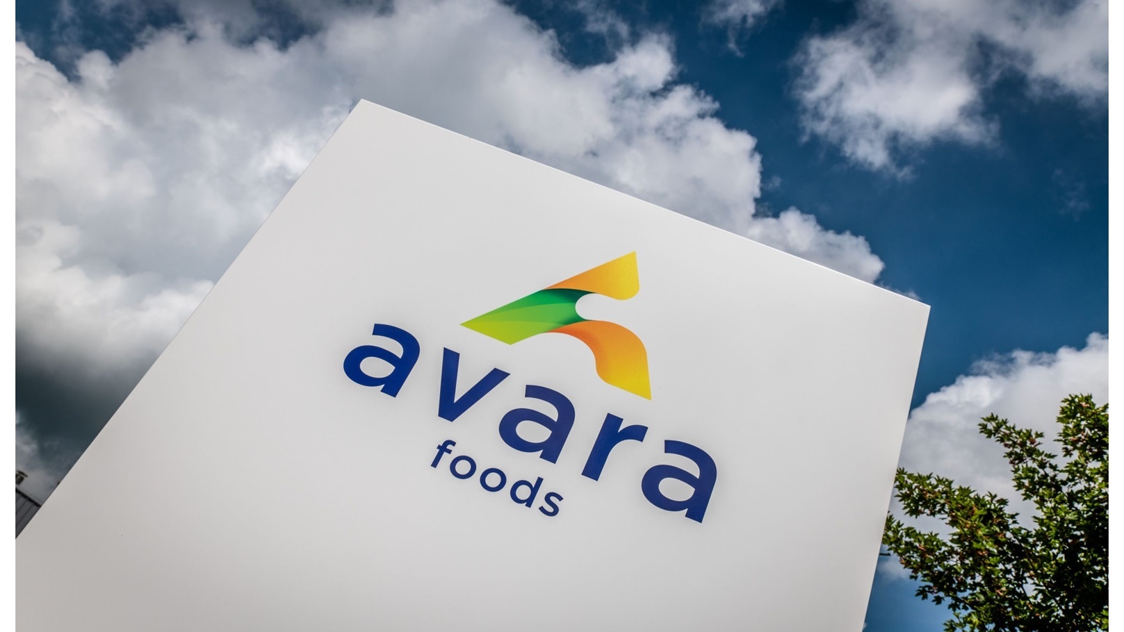 شركة أفارا فوودز