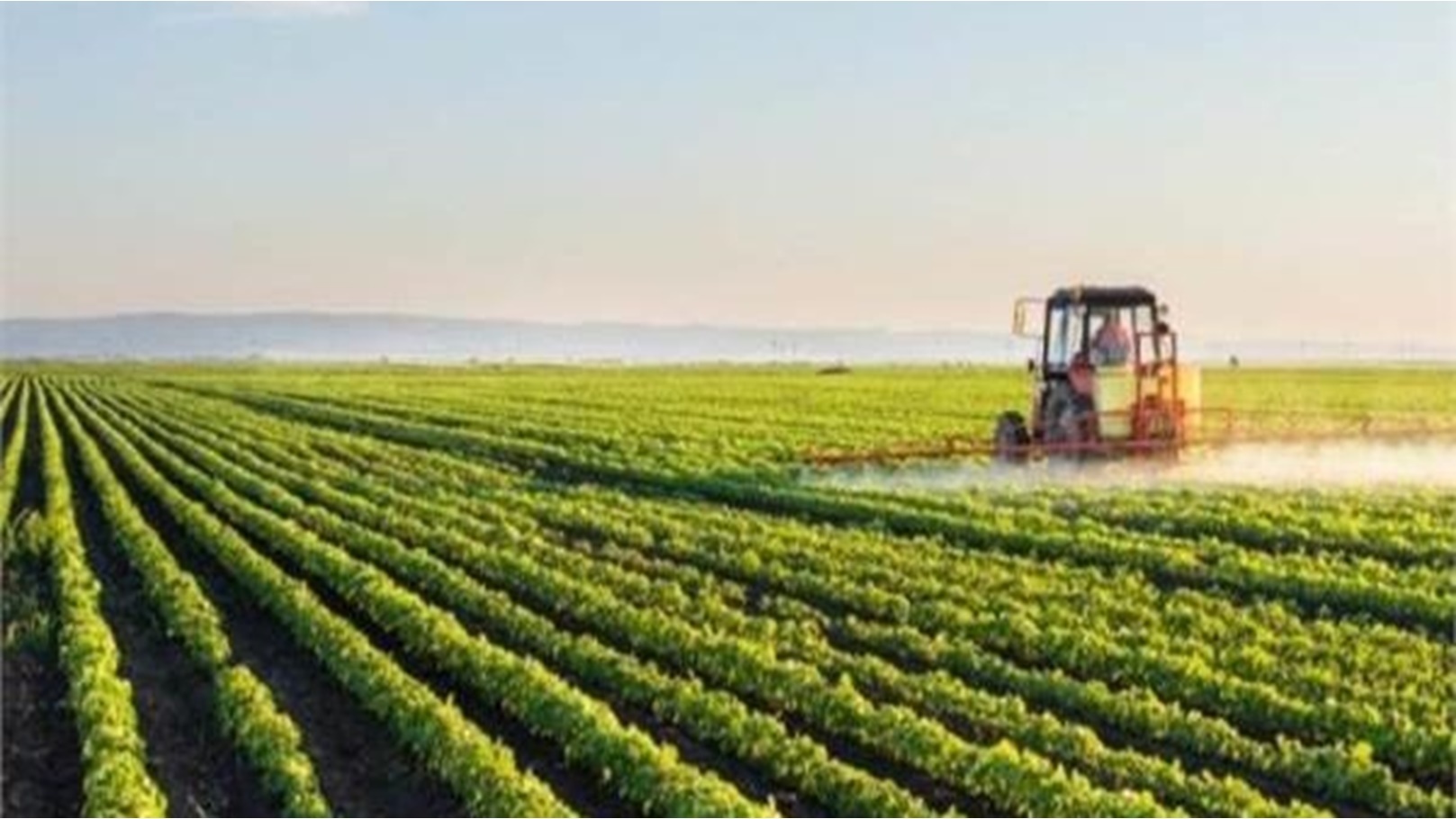 الأمن الغذائي والزراعة