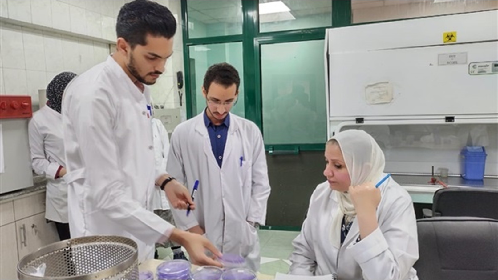 فحص ٨٨٦ الف طن بطاطس للتصدير منذ بداية العام وحتى نهاية مايو